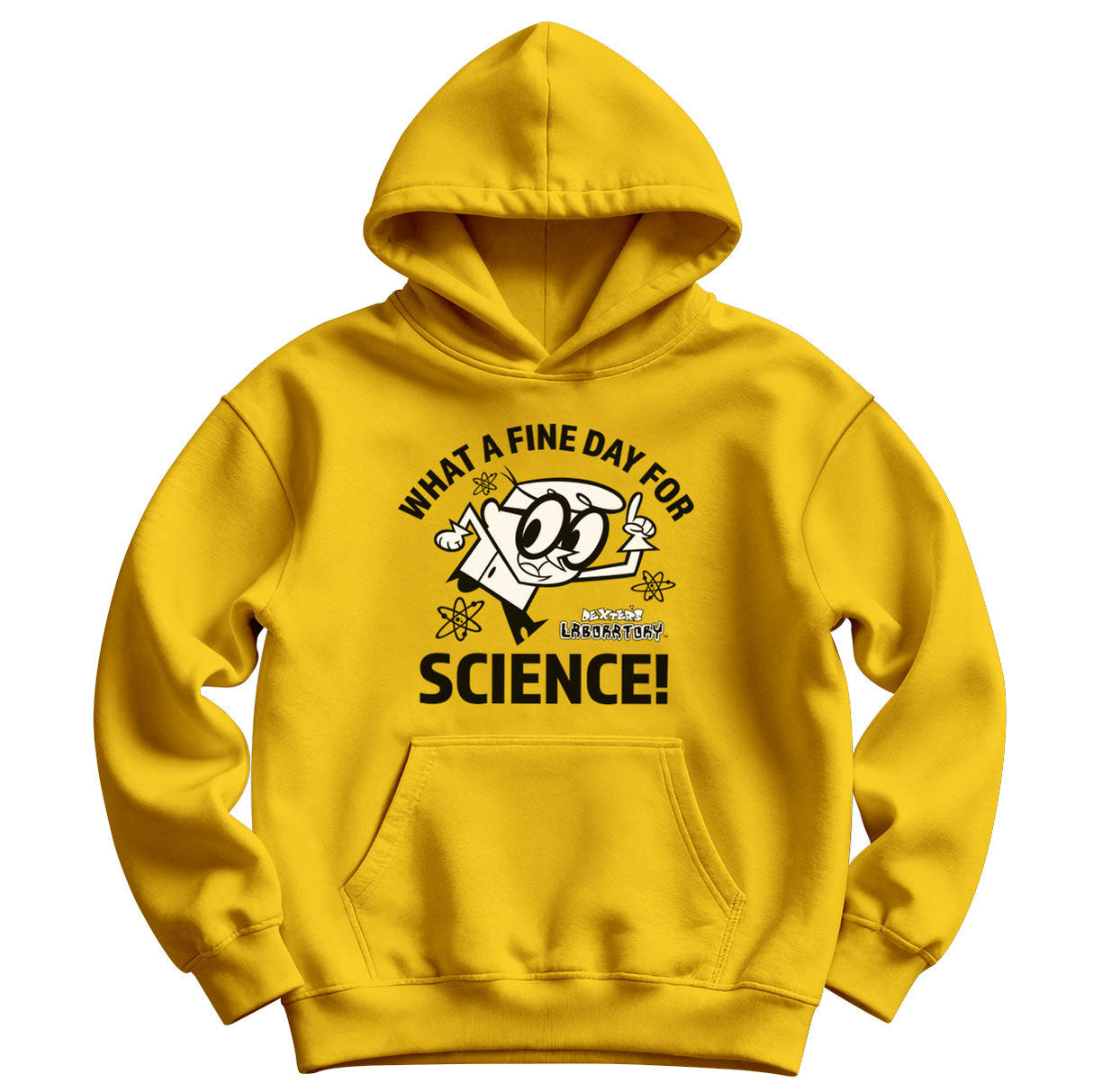 What A Fine Day For Science Kids Hoodie