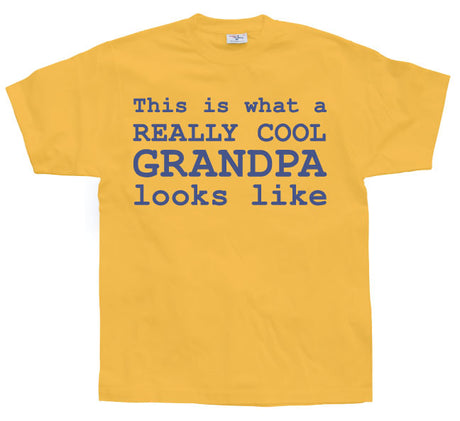 Cool Grandpa T-Shirt