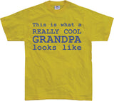 Cool Grandpa T-Shirt