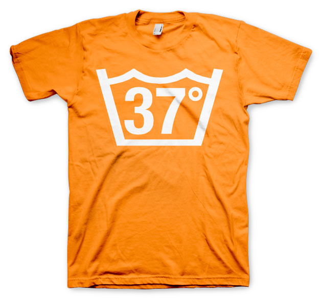 37 Celcius T-Shirt