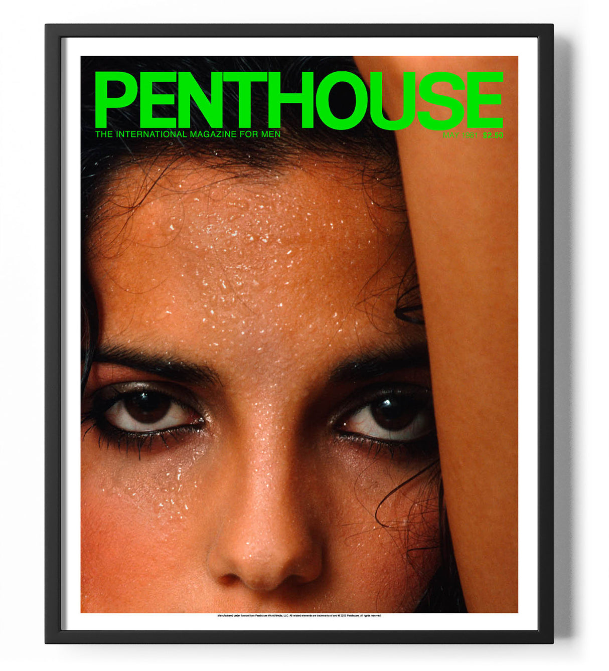 Penthouse Magazine May 1981 Cover Poster