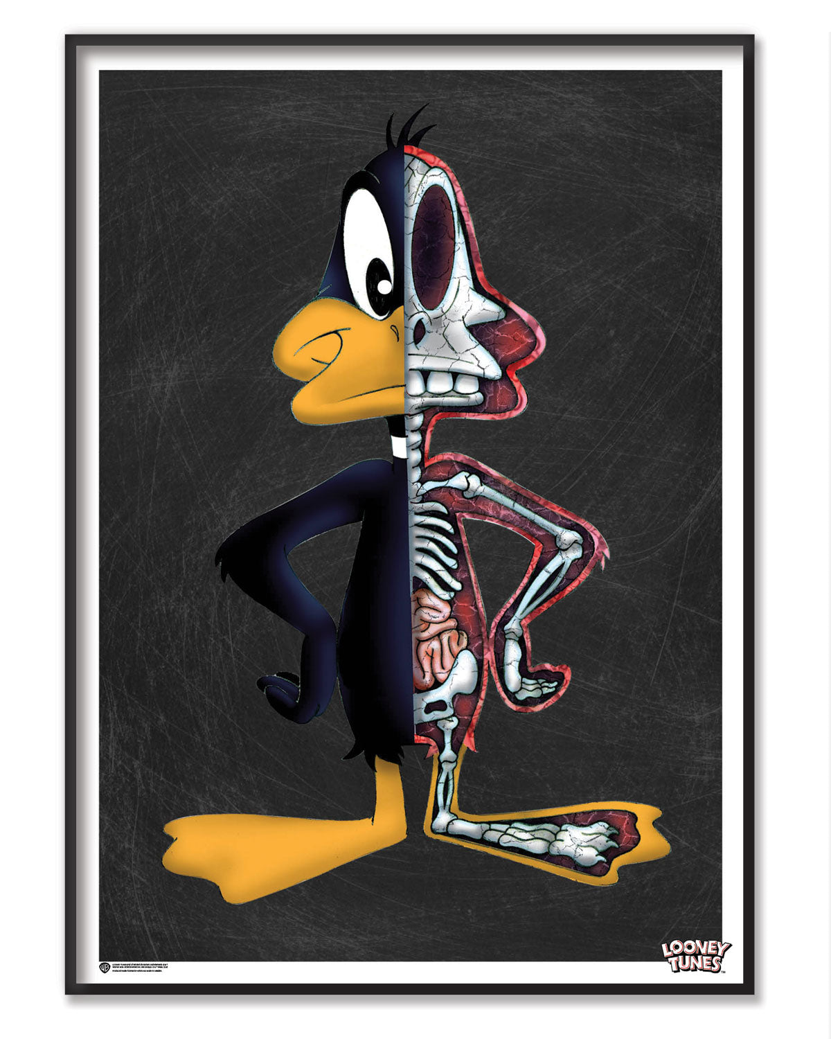 The Anatomy of Daffy Duck