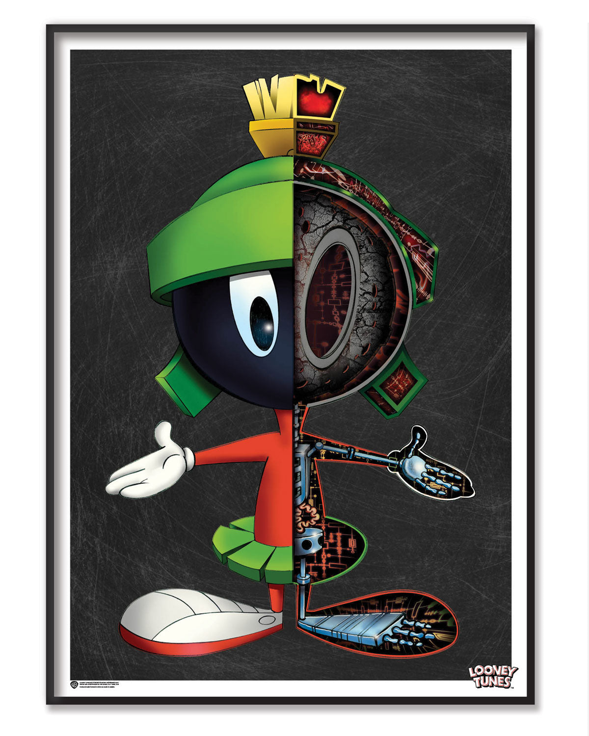 The Anatomy of Marvin The Martian Poster